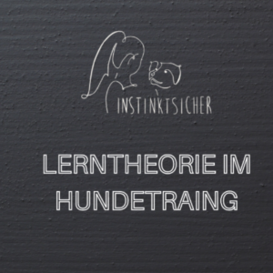 Read more about the article Themenabend: Lerntheorie