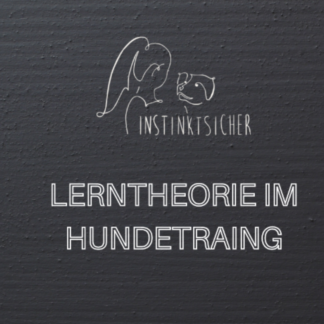 You are currently viewing Themenabend: Lerntheorie