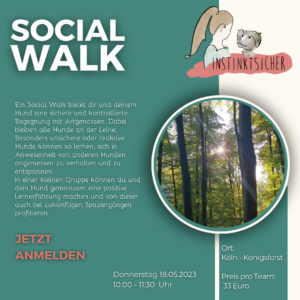 Read more about the article Social Walk 18.05.2023