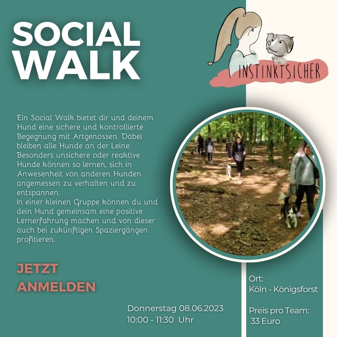 You are currently viewing Social Walk 08.06.2023