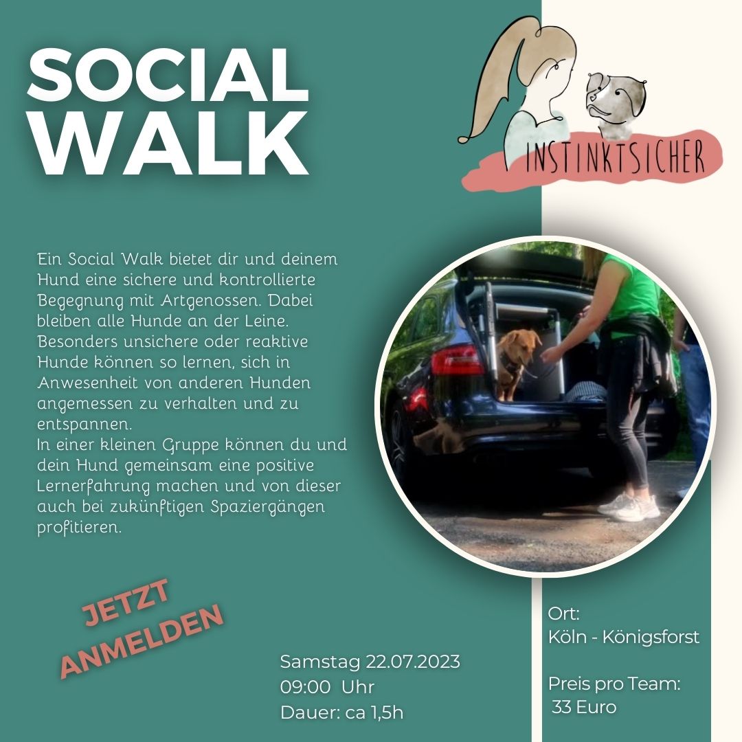 You are currently viewing Social Walk 22.07.2023