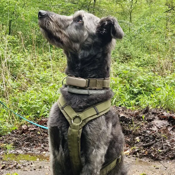 Basiskurs - Alltag & Erziehung